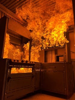 Ff Picture1 Ff Picture1