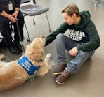 People who have experienced a traumatic event are more apt to talk to a comfort dog than to a person. Here, &ldquo;Anna,&rdquo; from the Lutheran Church Charities K-9 Comfort Dogs Ministry, visits with a student after the mass shooting that took place on campus on Feb. 13, 2023.