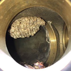 Bird nests, wasp nests, trash and other items that were shoved into the FDC can be disastrous if not removed. Bird nests, wasp nests, trash and other items that were shoved into the FDC can be disastrous if not removed.