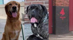 Maxresdefault 645e457046da8 Maxresdefault 645e457046da8