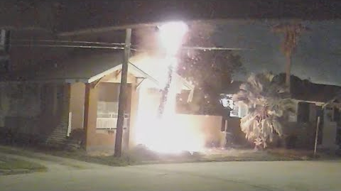 TX Palm Tree Arson Suspect Nabbed after Two Decades | Firehouse