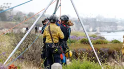 Rescue technicians came to the rescue of a dog and her owner, stranded on a beach.