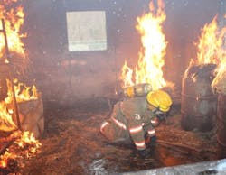 Ff Picture 1 64809f7b110c7 Ff Picture 1 64809f7b110c7