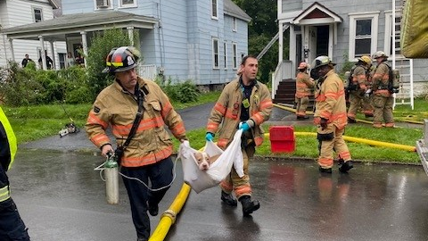 Firefighters carry the now responsive and alert dog from the backyard to be transported to a local emergency animal hospital for further care.
