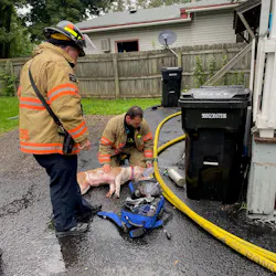 Firefighters work to save a dog rescued from the second-floor apartment. Each Syracuse Fire Department engine company carries specially designed oxygen masks for pets rescued from fires, exactly this type of situation. The dog was initially breathing but unresponsive but eventually regained consciousness.