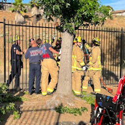 Lakeside fire and rescue personnel gingerly remove the victim. Lakeside fire and rescue personnel gingerly remove the victim.