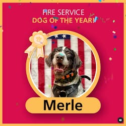 Merle was chosen as the winner of last year&apos;s contest.