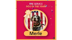 Merle was chosen as the winner of last year&apos;s contest.