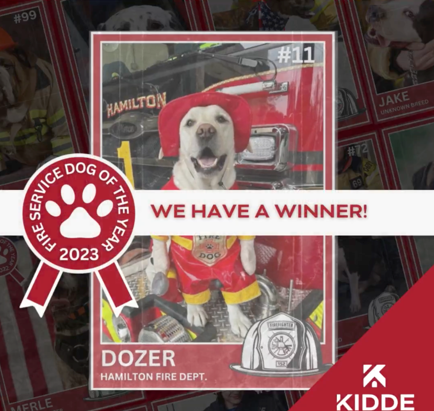 Dozer from the Hamilton Township, NJ, Division of Fire, is the winner of this year's National Fire Service Dog Photo Contest.