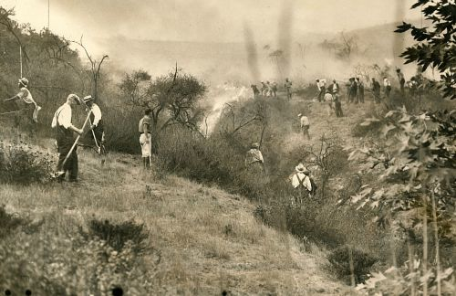 The Griffith Park fire began about 2 p.m. on Oct. 3, 1933, as thousands of workers were clearing brush and debris in Los Angeles.