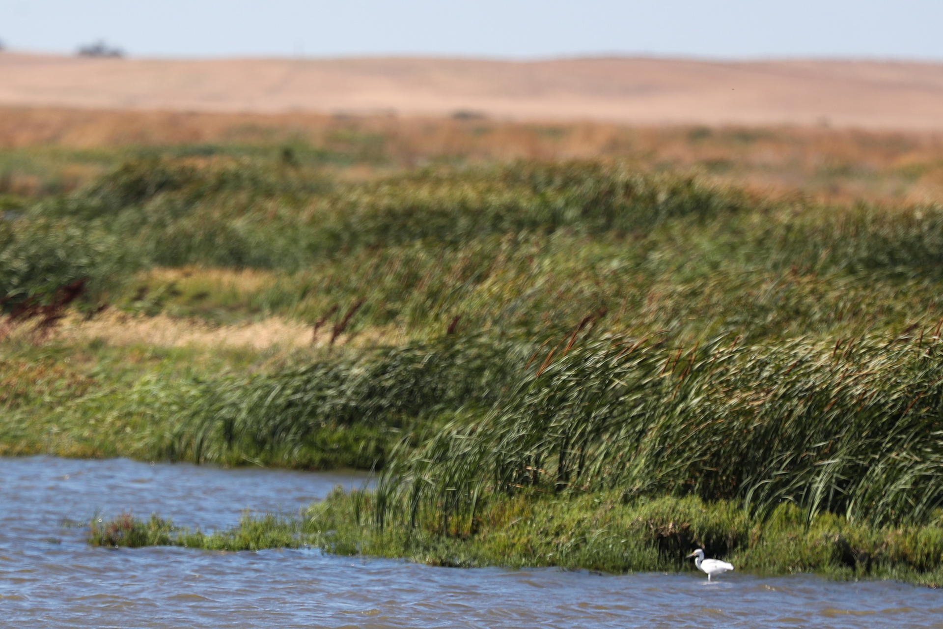 The U.S. Coast Guard searched the remote marsh for two days.