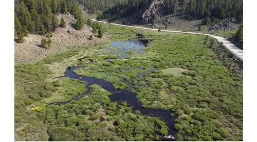 A healthy and dynamic wetland and floodplain maintained by beaver dam complexes.