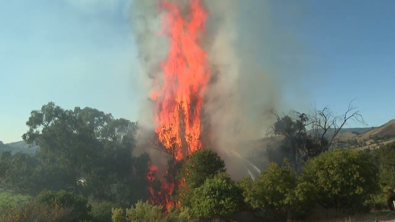 Lizzie Fire in San Luis Obispo | Raw Footage