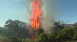 Lizzie Fire in San Luis Obispo | Raw Footage
