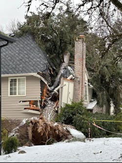 One person was killed when a tree fell on a two-story home in Lake Oswego, crushing a section of the home. One person was killed when a tree fell on a two-story home in Lake Oswego, crushing a section of the home.