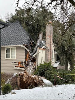 One person was killed when a tree fell on a two-story home in Lake Oswego, crushing a section of the home.