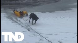 Firefighters help pull dog from icy waters in Utah Firefighters help pull dog from icy waters in Utah