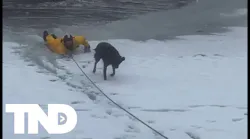 Firefighters help pull dog from icy waters in Utah