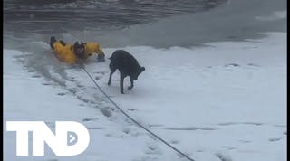Firefighters help pull dog from icy waters in Utah