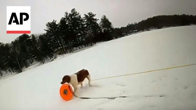 Moment Michigan man's dog helps rescue him from icy lake