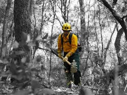 The patented Gorgui Classic multipurpose wildland firefighting tool from Vallfirest was designed based on the needs of the most advanced firefighting hand crews. The patented Gorgui Classic multipurpose wildland firefighting tool from Vallfirest was designed based on the needs of the most advanced firefighting hand crews.