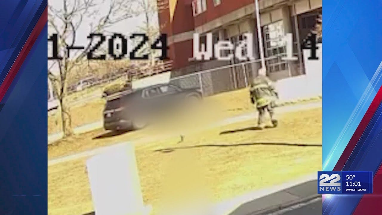 Springfield, MA, Fire Commissioner's Decision to Run over Raccoon ...