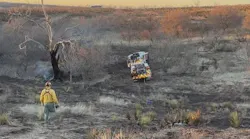 Houston firefighters continue to battle wildfires in Texas Panhandle