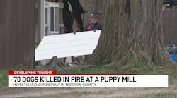 70 dogs killed in Ohio puppy mill fire, chief says