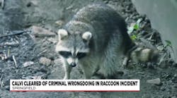 Springfield Fire Commissioner cleared of any criminal charges related to raccoon death