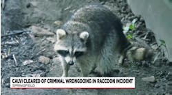 Springfield Fire Commissioner cleared of any criminal charges related to raccoon death