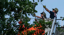 Two firefighters work to rescue a skydiver hanging in a tree.
