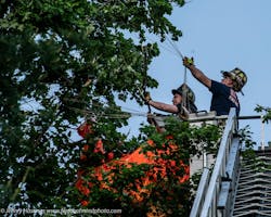 Two firefighters work to rescue a skydiver hanging in a tree. Two firefighters work to rescue a skydiver hanging in a tree.