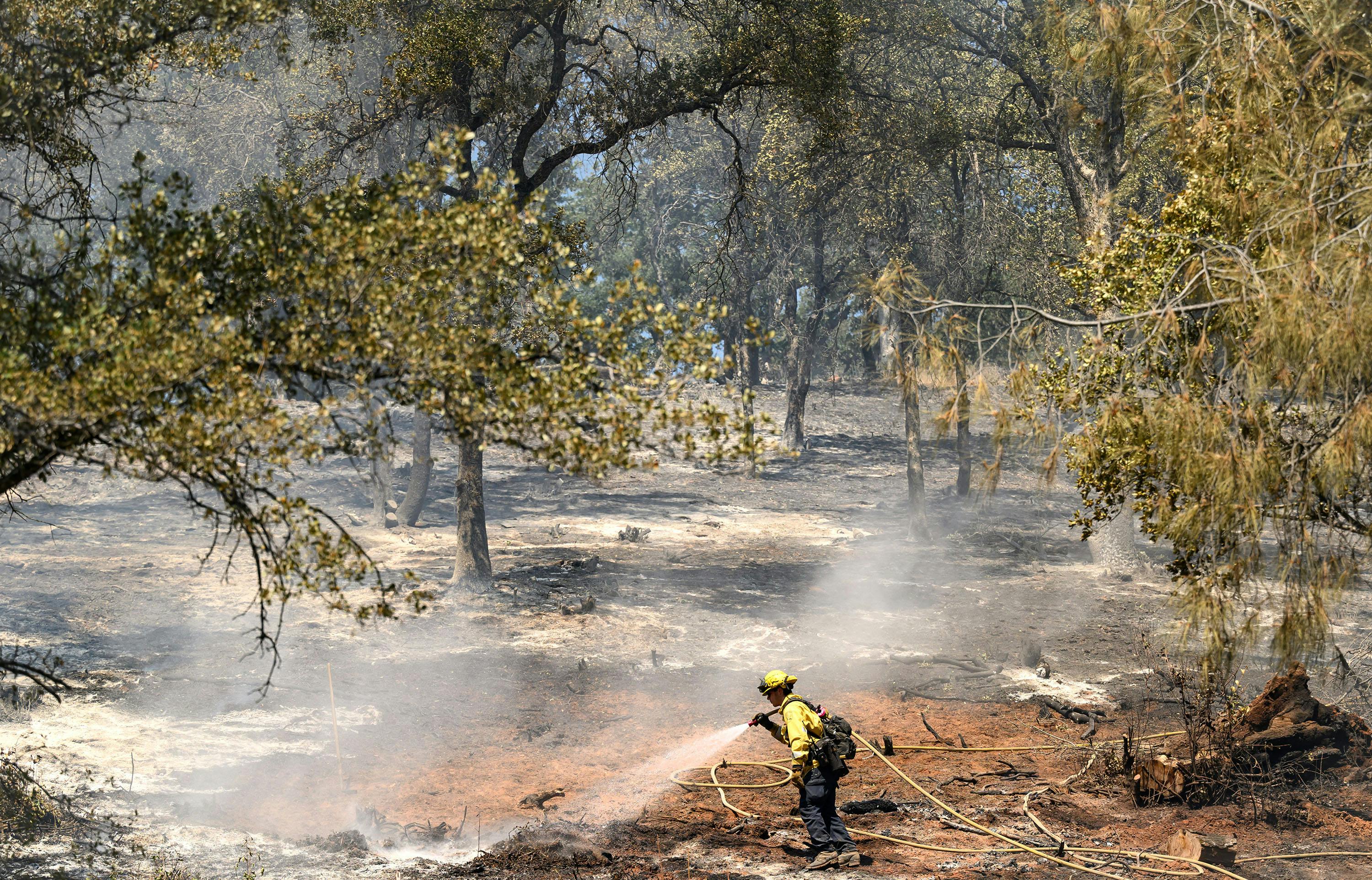 A firefighter extinguishes hotspots along a hillside during the French fire in Mariposa, California on Friday.