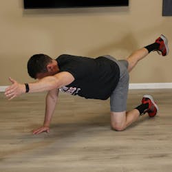 Developing strong core muscles (i.e., glutes, shoulder girdle, hamstrings and hip) is essential for preventing back injuries and maintaining overall stability. Bird dogs (shown), planks and glute bridges are great core exercises. Developing strong core muscles (i.e., glutes, shoulder girdle, hamstrings and hip) is essential for preventing back injuries and maintaining overall stability. Bird dogs (shown), planks and glute bridges are great core exercises.
