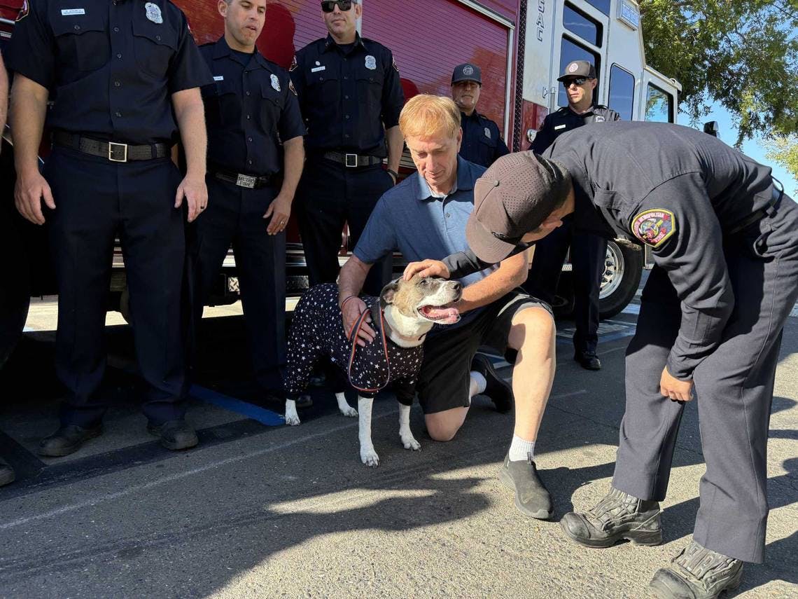 Sacramento firefighters meet Maya who was burned saving her owner.