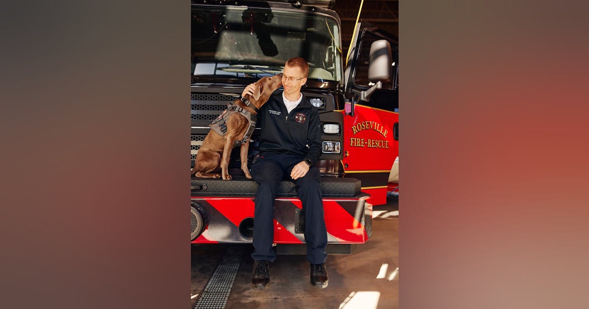 Therapy dog relaxing with firefighters for mental support.
