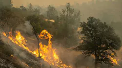 The Park Fire was the fourth largest wildfire in California history.