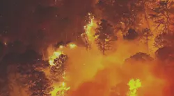 NJ man allegedly responsible for starting wildfire this week