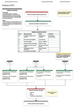 Figure 1: Sedation Assessment Tool incorporated into protocol with ketamine and midazolam. Figure 1: Sedation Assessment Tool incorporated into protocol with ketamine and midazolam.
