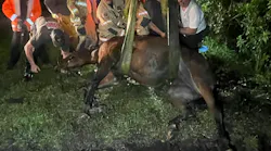 The training better equip personnel with the skills needed for animal-related emergencies (e.g., horses, cattle) in Seminole County, especially in rural areas.
