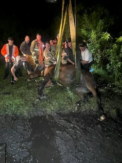 The training better equip personnel with the skills needed for animal-related emergencies (e.g., horses, cattle) in Seminole County, especially in rural areas. The training better equip personnel with the skills needed for animal-related emergencies (e.g., horses, cattle) in Seminole County, especially in rural areas.