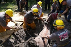 Dozens of personnel participated in the hands-on training, which covered essential techniques for responding to major rescues, such as those involving horses. Dozens of personnel participated in the hands-on training, which covered essential techniques for responding to major rescues, such as those involving horses.