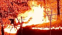 FDNY BOX 1831 ~ FDNY BATTLING A REKINDLED BRUSH FIRE IN INWOOD HILL PARK IN INWOOD, MANHATTAN, NYC FDNY BOX 1831 ~ FDNY BATTLING A REKINDLED BRUSH FIRE IN INWOOD HILL PARK IN INWOOD, MANHATTAN, NYC