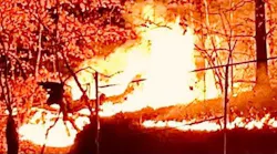 FDNY BOX 1831 ~ FDNY BATTLING A REKINDLED BRUSH FIRE IN INWOOD HILL PARK IN INWOOD, MANHATTAN, NYC