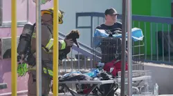 Fire at Dallas Shopping Center Kills 579 Animals