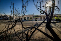 A view of the burned area of the park across the street from the Altadena Sheriff Station that survived the Eaton fire in Altadena. A view of the burned area of the park across the street from the Altadena Sheriff Station that survived the Eaton fire in Altadena.