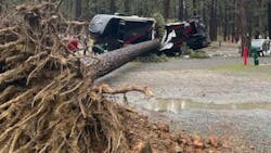 Firefighters found the tree crushing the center of the RV at the Nevada County fairgrounds. Firefighters found the tree crushing the center of the RV at the Nevada County fairgrounds.
