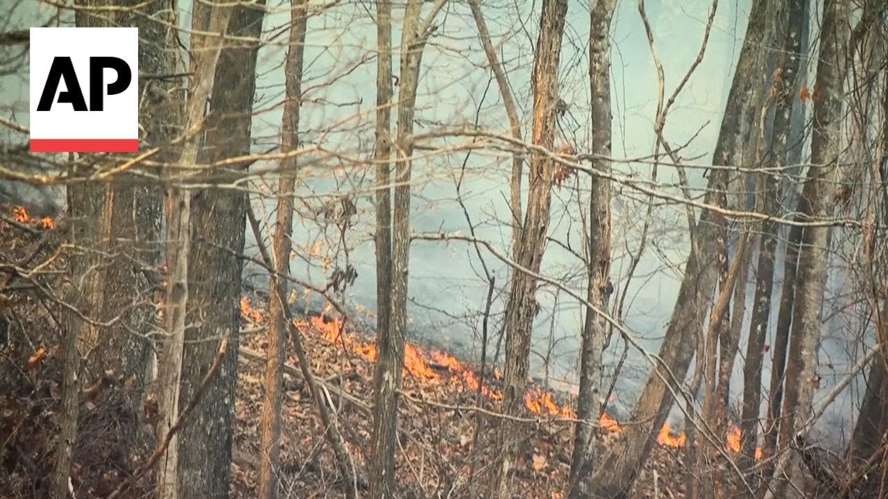 Wildfires prompt evacuations in North and South Carolina