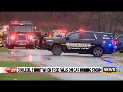 Three Killed as Tree Falls on Car in Climax Township MI