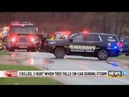 Three Killed as Tree Falls on Car in Climax Township MI Three Killed as Tree Falls on Car in Climax Township MI